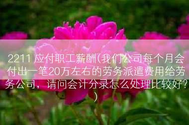 2211 应付职工薪酬(我们公司每个月会付出一笔20万左右的劳务派遣费用给劳务公司，请问会计分录怎么处理比较好？)