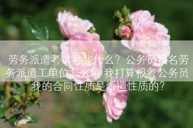 劳务派遣考试考些什么？公务员报名劳务派遣工单位怎么填 我打算报考公务员 我的合同性质是派遣性质的？