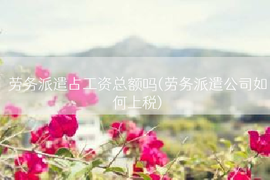 劳务派遣占工资总额吗(劳务派遣公司如何上税)
