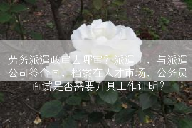 劳务派遣政审去哪审？派遣工，与派遣公司签合同，档案在人才市场，公务员面试是否需要开具工作证明？