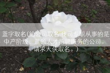 蓝字取名(给公司取名 我司专职从事的是中产阶级、蓝领人才招聘服务的公司。 请求大侠取名。)