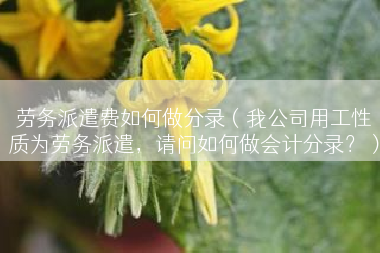劳务派遣费如何做分录（我公司用工性质为劳务派遣，请问如何做会计分录？）