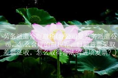 劳务派遣合理避税(我公司是劳务派遣公司，怎么合理的避税呢，目前普票采取差额征收，怎么取得合法的进项发票？)