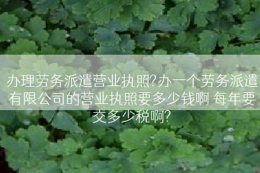 办理劳务派遣营业执照?办一个劳务派遣有限公司的营业执照要多少钱啊 每年要交多少税啊?