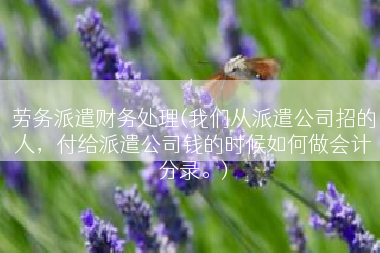 劳务派遣财务处理(我们从派遣公司招的人，付给派遣公司钱的时候如何做会计分录。)