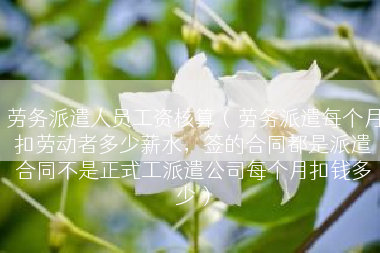 劳务派遣人员工资核算（劳务派遣每个月扣劳动者多少薪水，签的合同都是派遣合同不是正式工派遣公司每个月扣钱多少）