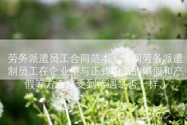 劳务派遣员工合同范本（请问劳务派遣制员工在企业里与正式职工的婚假和产假等方面享受到待遇是否一样）