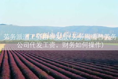 劳务派遣工资由谁发放(劳务派遣替劳务公司代发工资，财务如何操作)