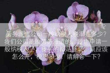 劳务派遣公司一般纳税人税率是多少？我们公司是做劳务派遣的，我也申请一般纳税人了，我买的都是普票，票应该怎么开，税率多少，请解答一下？