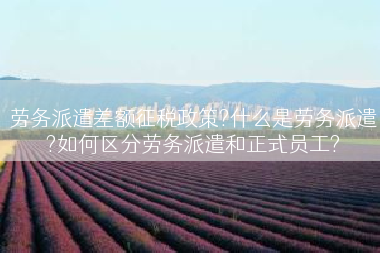 劳务派遣差额征税政策?什么是劳务派遣?如何区分劳务派遣和正式员工?