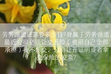 劳务派遣证需要多少钱?我属于劳务派遣，最近公司必须让交五险（费用自己全部承担）我不想交，公司让开证明或者拿交保险的发票?