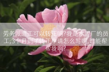 劳务派遣工可以转正吗?我是水泥厂的员工,3个月到了转正申请怎么写啊,谁能帮帮我啊?