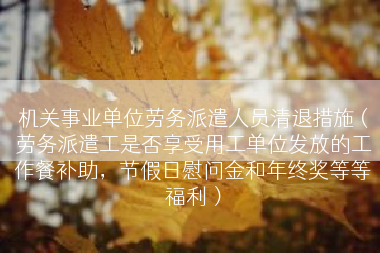 机关事业单位劳务派遣人员清退措施（劳务派遣工是否享受用工单位发放的工作餐补助，节假日慰问金和年终奖等等福利）