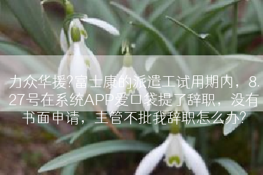 力众华援?富士康的派遣工试用期内，8.27号在系统APP爱口袋提了辞职，没有书面申请，主管不批我辞职怎么办?