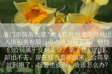 厦门市劳务派遣?本人在杭州澳海因私出入境服务有限公司办理出国劳务，但他们公司属于变相集资，拿了我们的钱，却出不去。现在钱也要不回来，合同早就到期了，报警也没用，我该怎么办?
