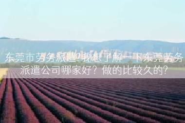 东莞市劳务派遣?我想了解一下东莞劳务派遣公司哪家好？做的比较久的?