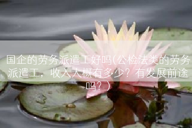 国企的劳务派遣工好吗(公检法类的劳务派遣工，收入大概有多少？有发展前途吗？)