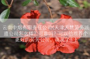 云南中烟有限责任公司(天津天慧劳务派遣公司怎么样？可靠吗？可以给推荐个更好的劳务公司，谢谢了！)
