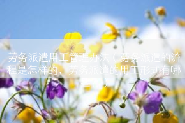 劳务派遣用工管理办法（劳务派遣的流程是怎样的，劳务派遣的用工形式有哪些？）