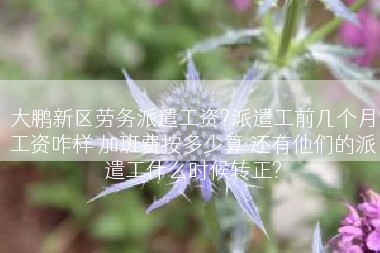 大鹏新区劳务派遣工资?派遣工前几个月工资咋样 加班费按多少算 还有他们的派遣工什么时候转正?