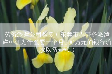 劳务派遣公司验资（东莞市办劳务派遣许可证为什么要一个月200万元的银行流水以备查验）