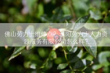 佛山劳力士维修点？濮阳劳力士人力资源服务有限公司怎么样？