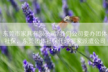 东莞市家具有限公司?我们公司要办团体社保，东莞团体社保代理哪家派遣公司好?