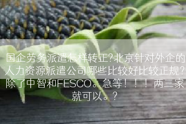 国企劳务派遣怎样转正?北京针对外企的人力资源派遣公司哪些比较好比较正规？除了中智和FESCO。急等！！！两三家就可以。?
