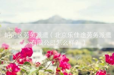 朝阳区劳务派遣（北京乐佳途劳务派遣有限公司怎么样？）