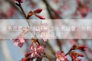 劳务派遣司法解释?作为一名辅警，有机会获得转正吗?