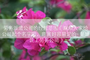劳务派遣公司的经营范围（麻烦大家给公司起个名字吧，意寓好容易记的~ 是建筑工劳务公司）