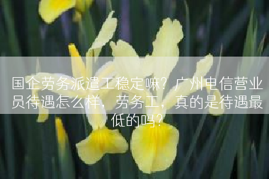 国企劳务派遣工稳定嘛？广州电信营业员待遇怎么样，劳务工，真的是待遇最低的吗？
