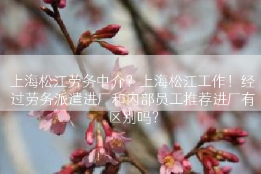 上海松江劳务中介？上海松江工作！经过劳务派遣进厂和内部员工推荐进厂有区别吗？