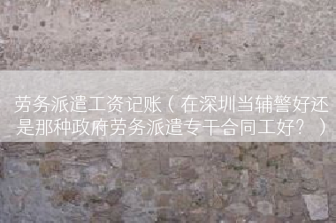 劳务派遣工资记账（在深圳当辅警好还是那种政府劳务派遣专干合同工好？）
