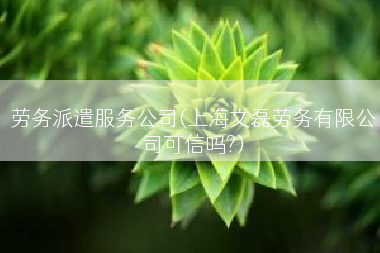 劳务派遣服务公司(上海文磊劳务有限公司可信吗?)