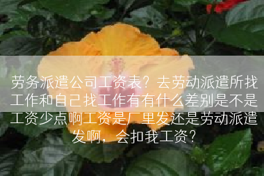 劳务派遣公司工资表？去劳动派遣所找工作和自己找工作有有什么差别是不是工资少点啊工资是厂里发还是劳动派遣发啊，会扣我工资？