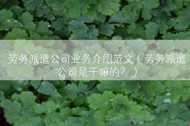 劳务派遣公司业务介绍范文（劳务派遣公司是干嘛的？）