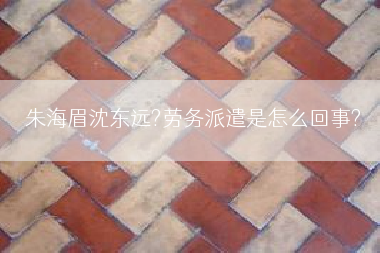 朱海眉沈东远?劳务派遣是怎么回事?
