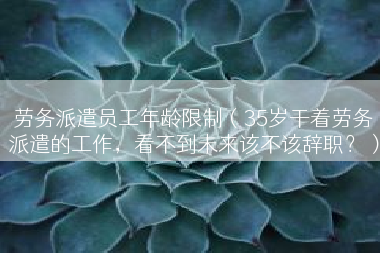 劳务派遣员工年龄限制（35岁干着劳务派遣的工作，看不到未来该不该辞职？）