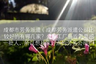 成都市劳务派遣（成都劳务派遣公司比较好的有哪几家？公司工厂最近需要招一批人，所以想找家好点的劳务公司?）