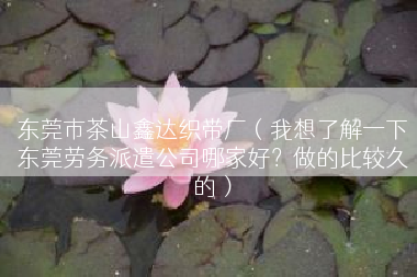 东莞市茶山鑫达织带厂（我想了解一下东莞劳务派遣公司哪家好？做的比较久的）