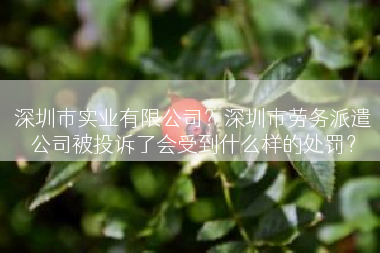 深圳市实业有限公司？深圳市劳务派遣公司被投诉了会受到什么样的处罚？