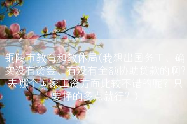 铜陵市教育和教体局(我想出国务工、确实没有资金、有没有全额协助贷款的啊？去哪个国家工资方面比较不错的呢？只要挣的多点就行？)