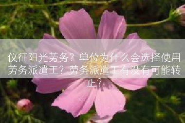 仪征阳光劳务？单位为什么会选择使用劳务派遣工？劳务派遣工有没有可能转正？