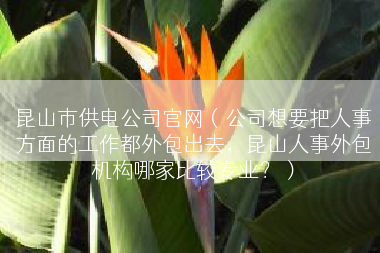 昆山市供电公司官网（公司想要把人事方面的工作都外包出去，昆山人事外包机构哪家比较专业？）