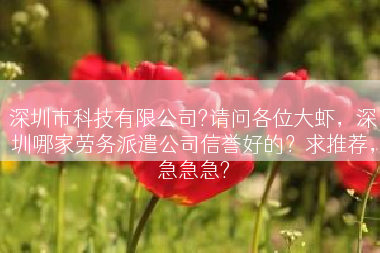 深圳市科技有限公司?请问各位大虾，深圳哪家劳务派遣公司信誉好的？求推荐，急急急?