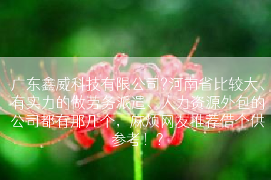 广东鑫威科技有限公司?河南省比较大、有实力的做劳务派遣、人力资源外包的公司都有那几个，麻烦网友推荐借个供参考！?