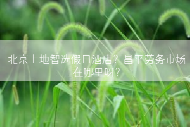 北京上地智选假日酒店？昌平劳务市场在哪里呀？