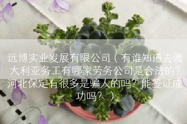 远博实业发展有限公司（有谁知道去澳大利亚务工有哪家劳务公司是合法的？河北保定有很多是骗人的吗？能签证成功吗？）