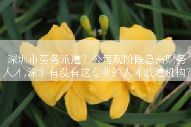 深圳市劳务派遣？公司现阶段急需财务人才,深圳有没有这专业的人才派遣机构？